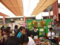 /album/fotogaleria-servicios-educativos/p1050101-jpg1/